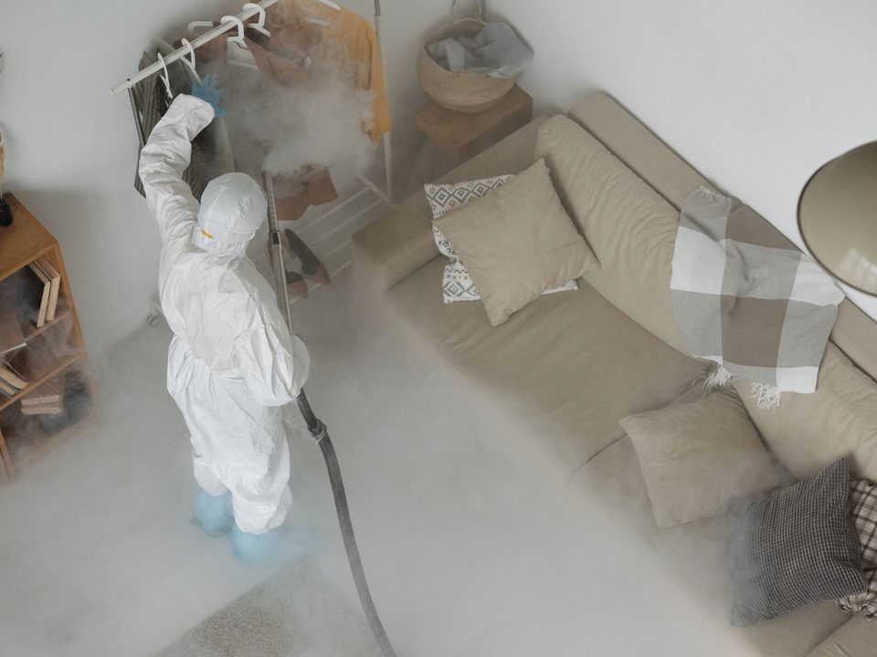 Kilter Pest Control – Lead generation for SoCal termite and pest control